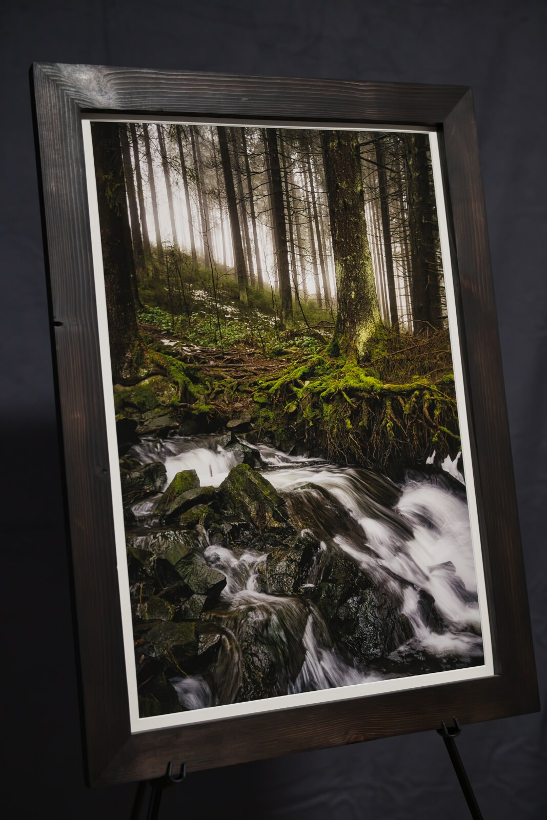 Oberharzer Wasserregal